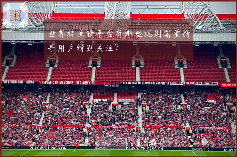 世界杯竞猜平台有哪些规则需要新手用户特别关注？